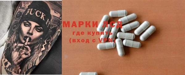 прущие грибы Алексин