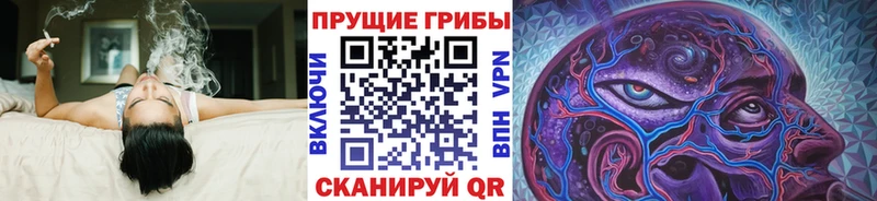 наркотики  Катав-Ивановск  OMG зеркало  Псилоцибиновые грибы Cubensis 