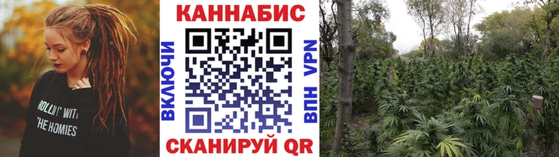 Бошки марихуана LSD WEED  Катав-Ивановск 